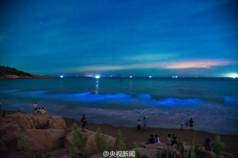 西海岸首个现房入市，开局即放大招，连海口的中介都忙乎起来了！
