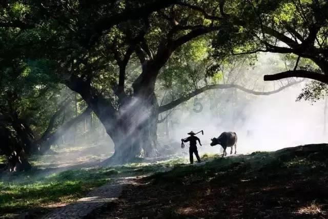 贞观七年，有人向李世民密报：太子近来越来越贪玩无度，经常干出一些