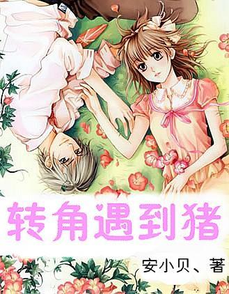 救援有趣的狮子