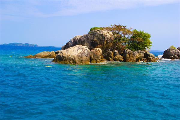 海报 |国以家为基 家尚廉则安