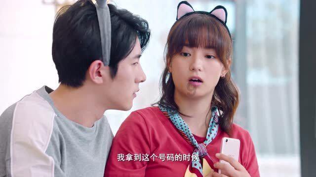 港南区东津镇:人勤春来早 种蔗正当时